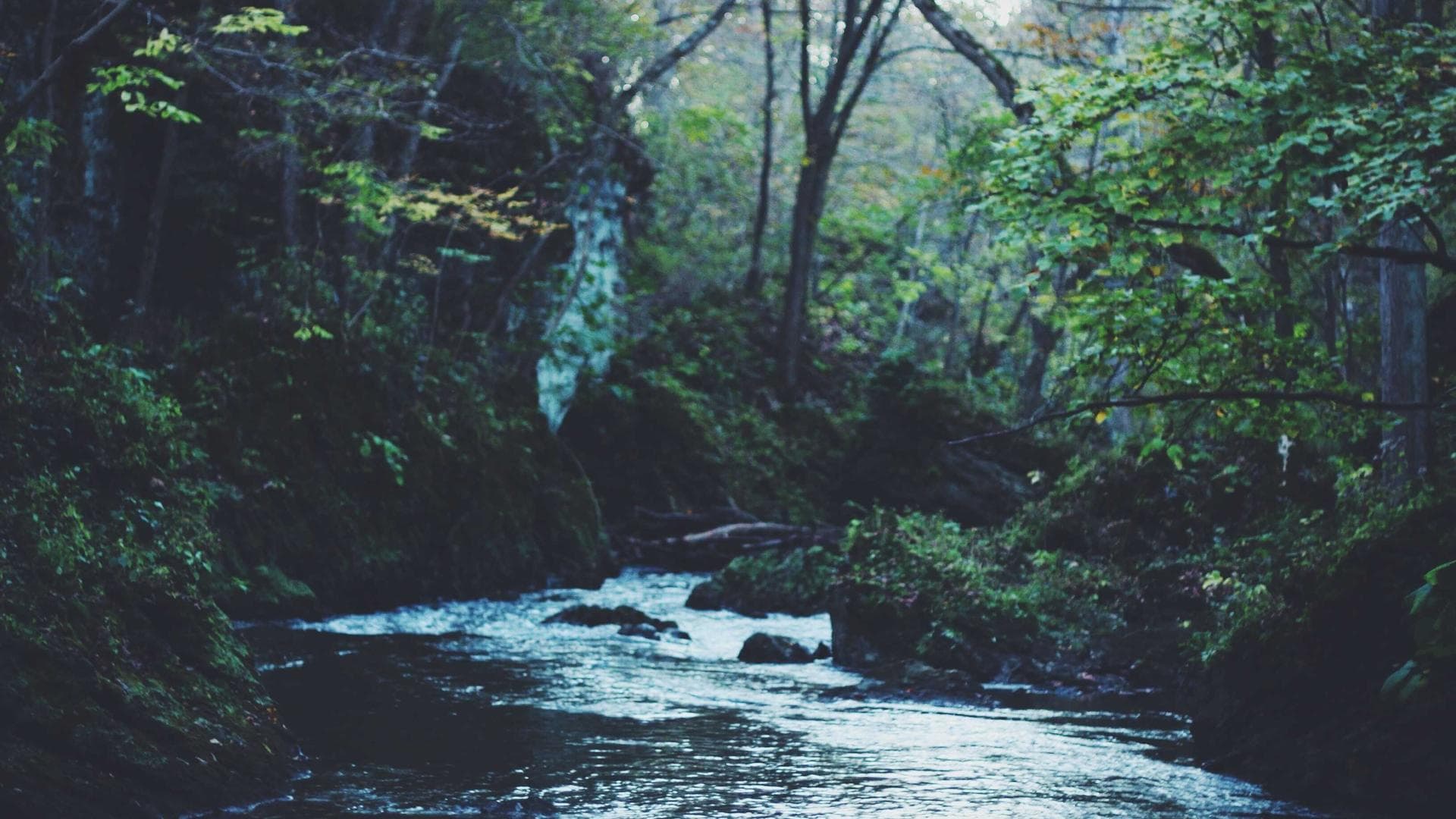 Misty abstract landscape